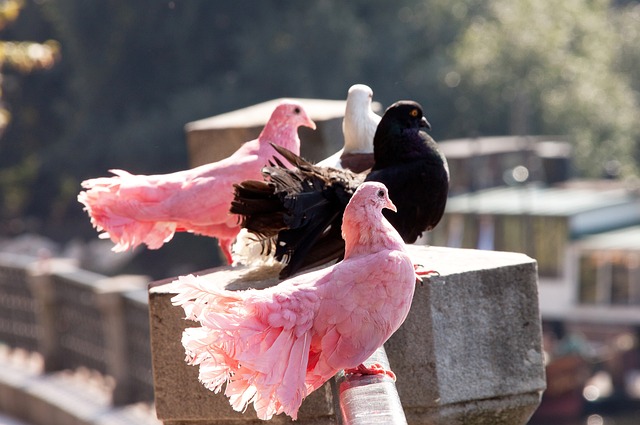 韩K联半场：朴相赫破门+抽射造险，江原FC1-0金泉尚武