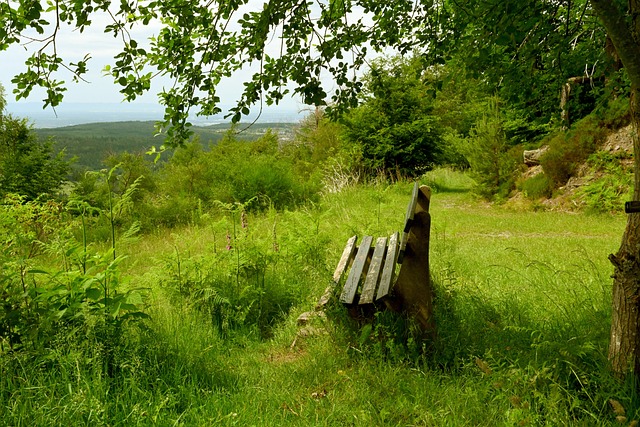 如迈克尔 如迈克尔