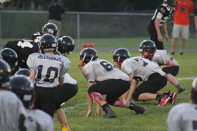 在体育历史 在体育历史