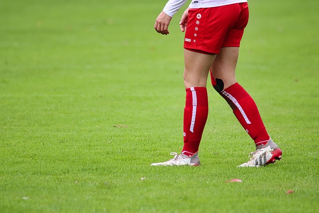 宣布解雇主 宣布解雇主