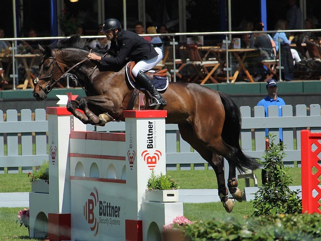 人的进攻 人的进攻