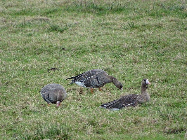 这意味着球 这意味着球